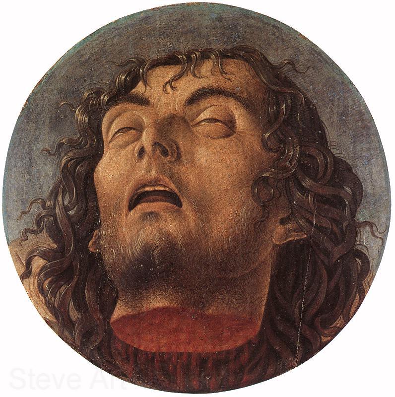 BELLINI, Giovanni Head of the Baptist 223 Spain oil painting art